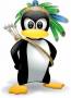 orga:penguin.jpg